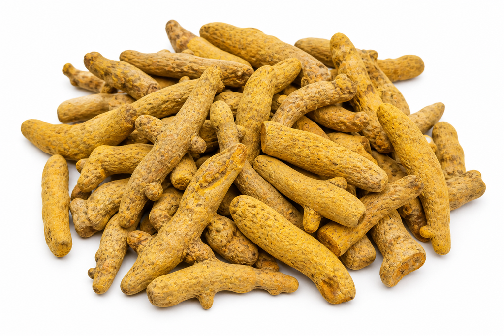 Curcuma الخرقوم
