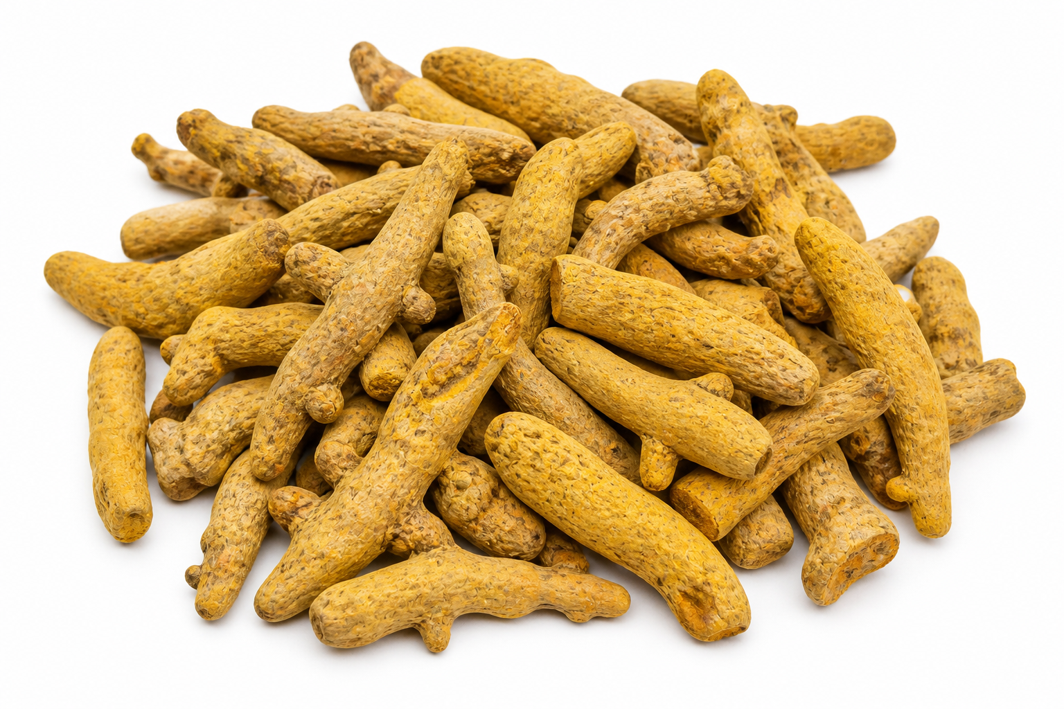 Curcuma الخرقوم