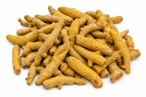Curcuma الخرقوم
